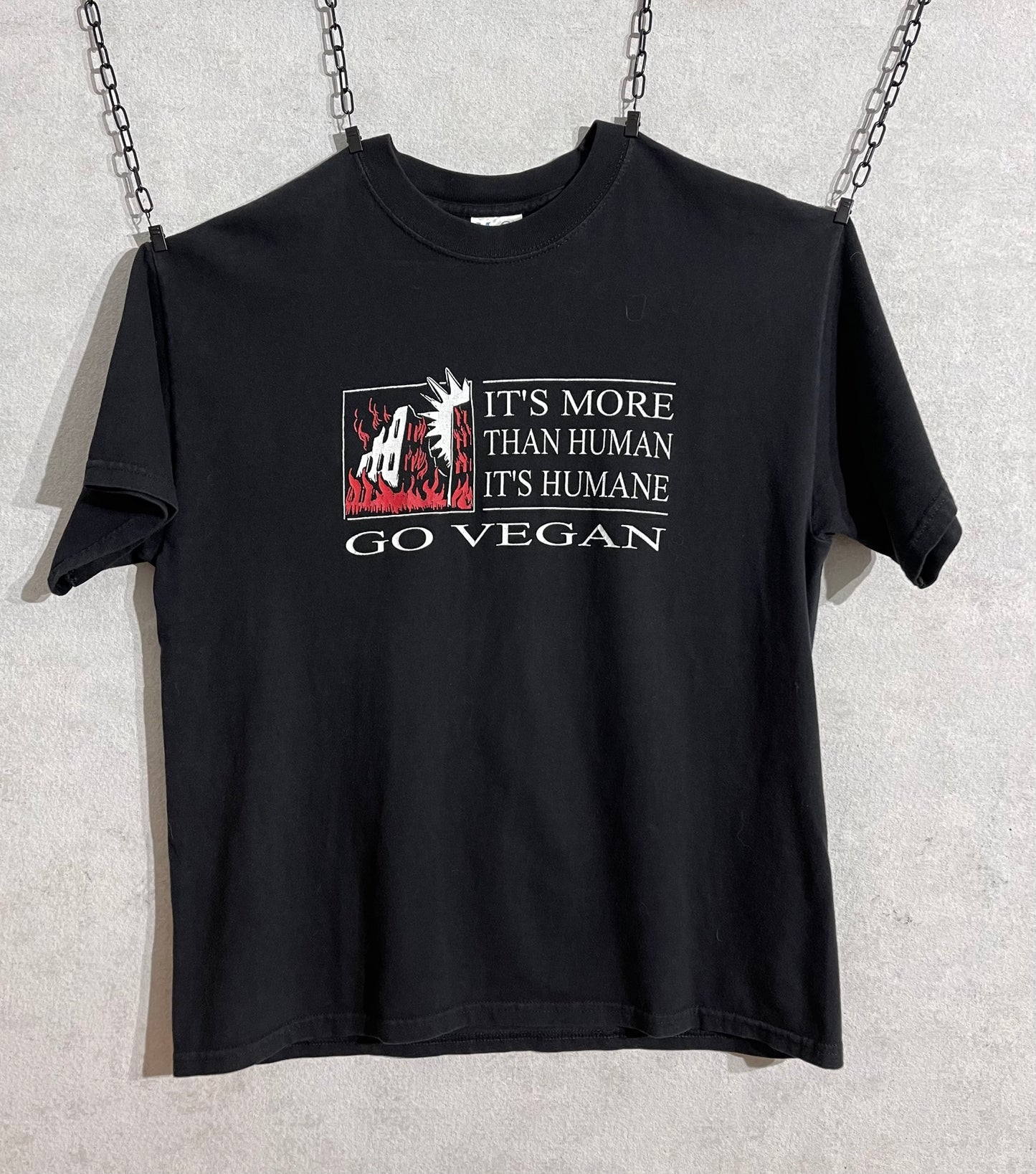 Undying Vegan Straight Edge Early 2000’s