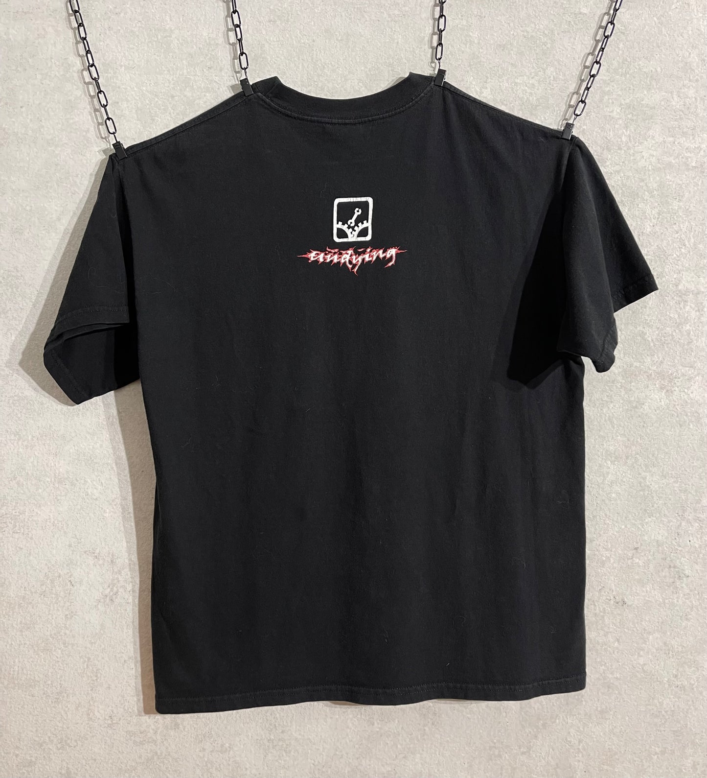 Undying Vegan Straight Edge Early 2000’s